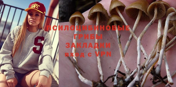 бутират Алзамай
