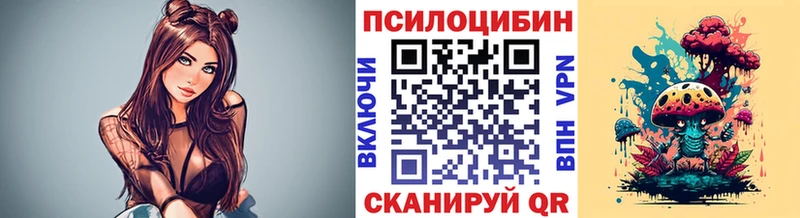 даркнет как зайти Перевоз Псилоцибиновые грибы Psilocybe